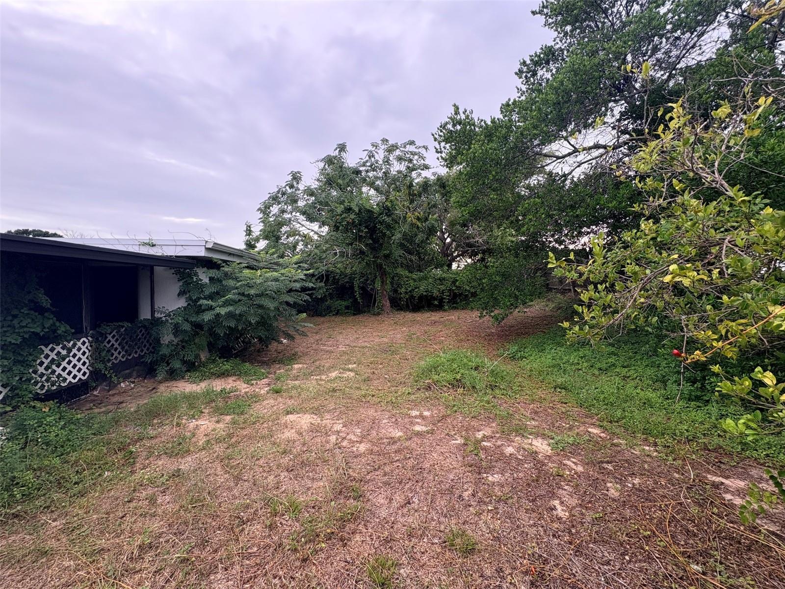 3541 Bigelow Dr Property Photo 34