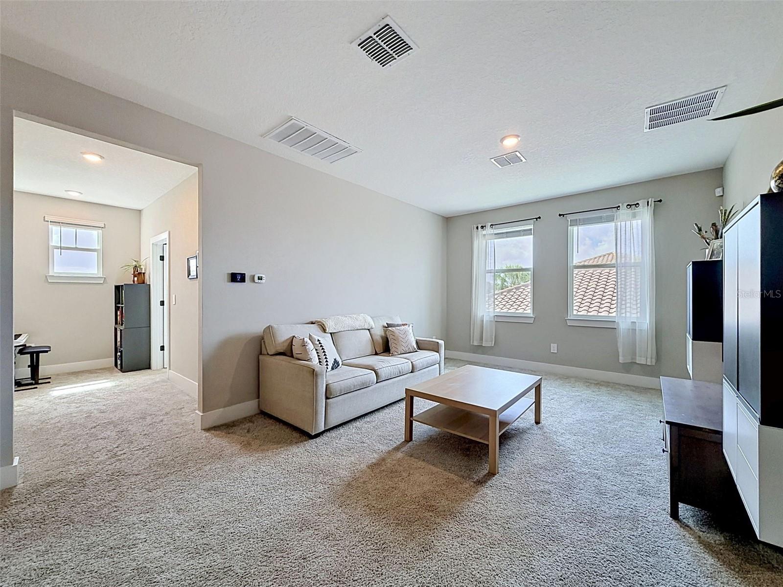 3726 Savanna Palms Ct Property Photo 39