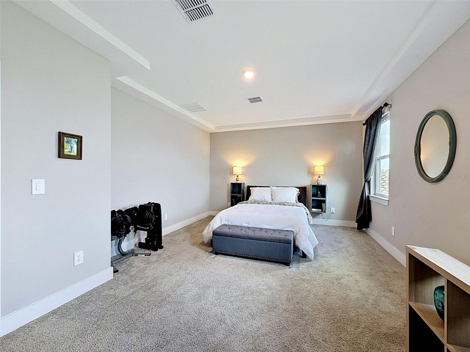 3726 Savanna Palms Ct Property Photo 42