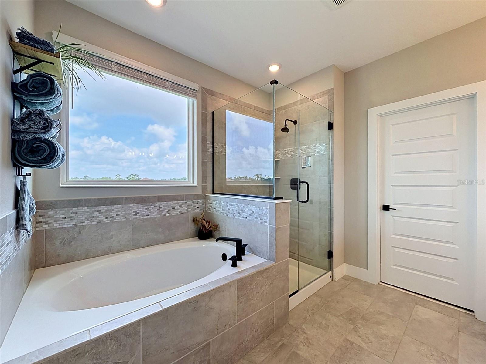 3726 Savanna Palms Ct Property Photo 48