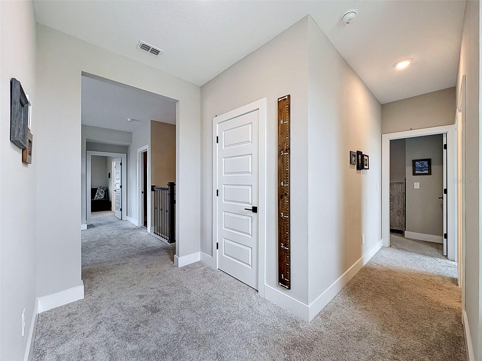 3726 Savanna Palms Ct Property Photo 52