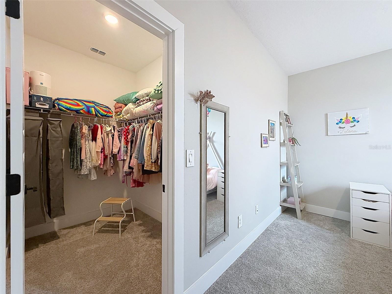3726 Savanna Palms Ct Property Photo 62