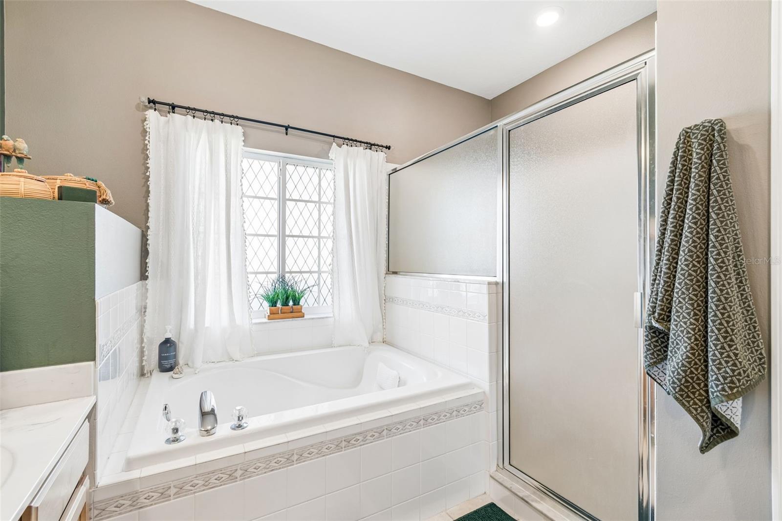 1616 Regal Mist Loop Property Photo 45