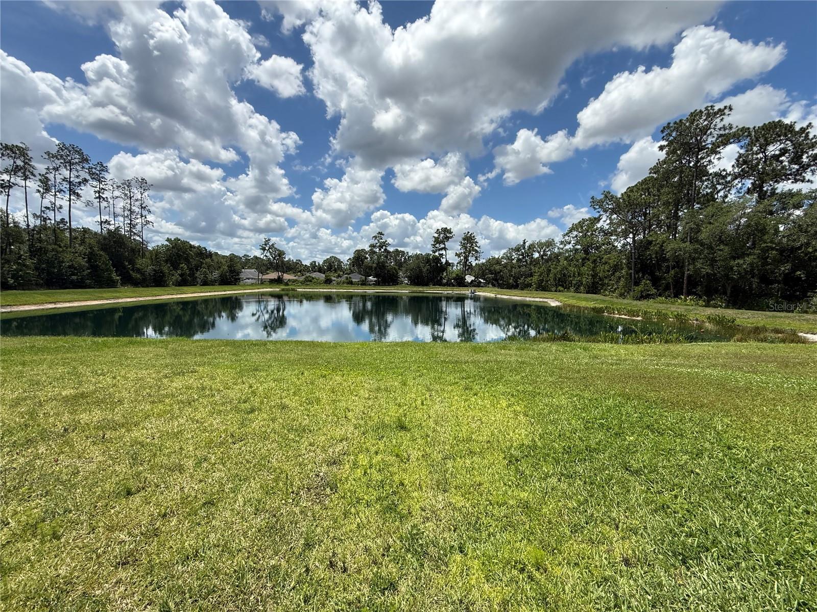 30596 Thunderbird Dr Property Photo 6