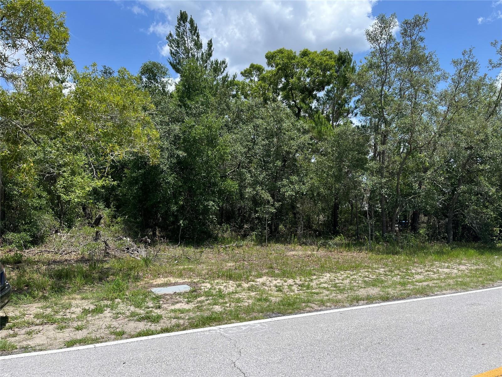 Pinehurst Dr Property Photo 1