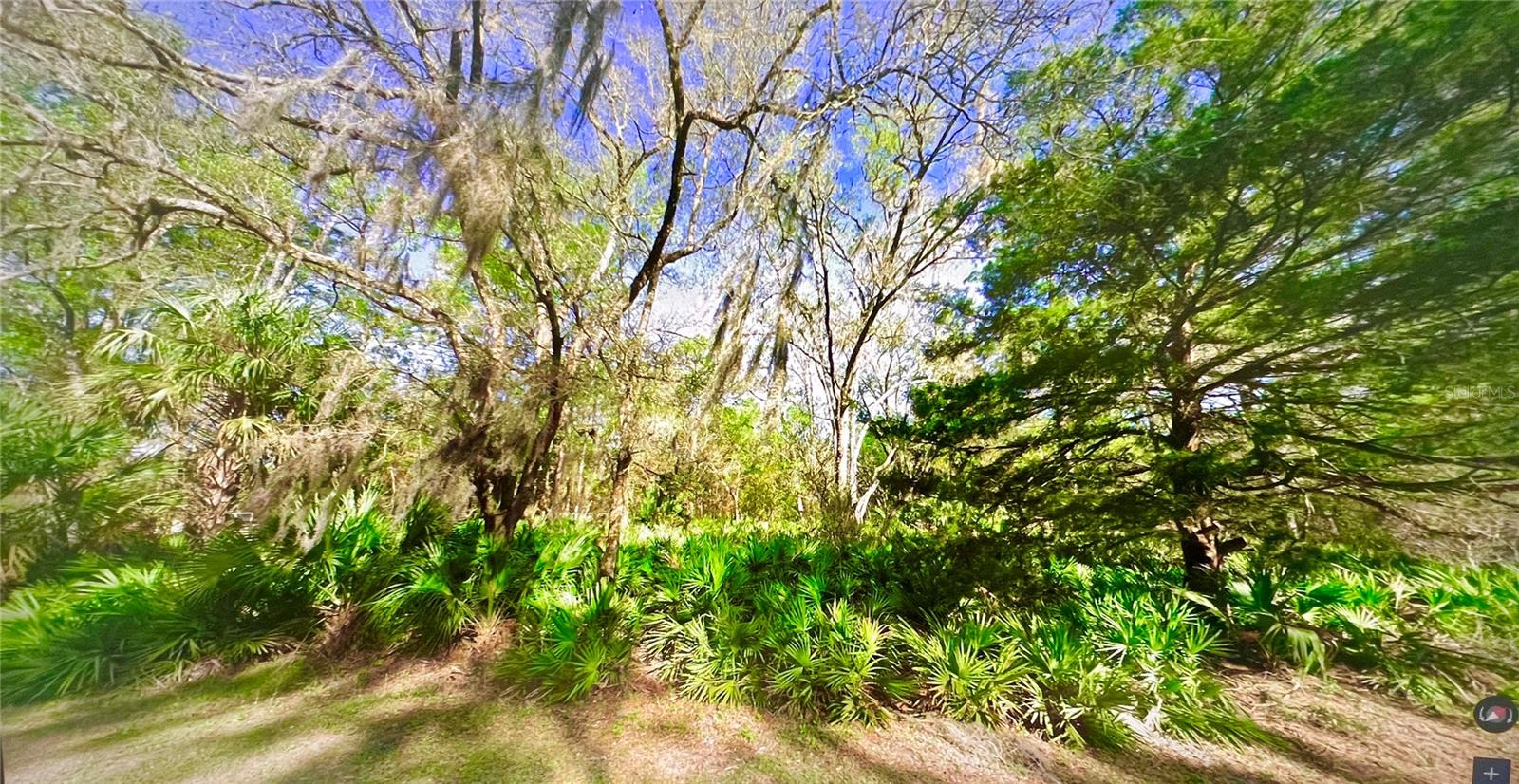 10047 W Dunnellon Rd Property Photo 7