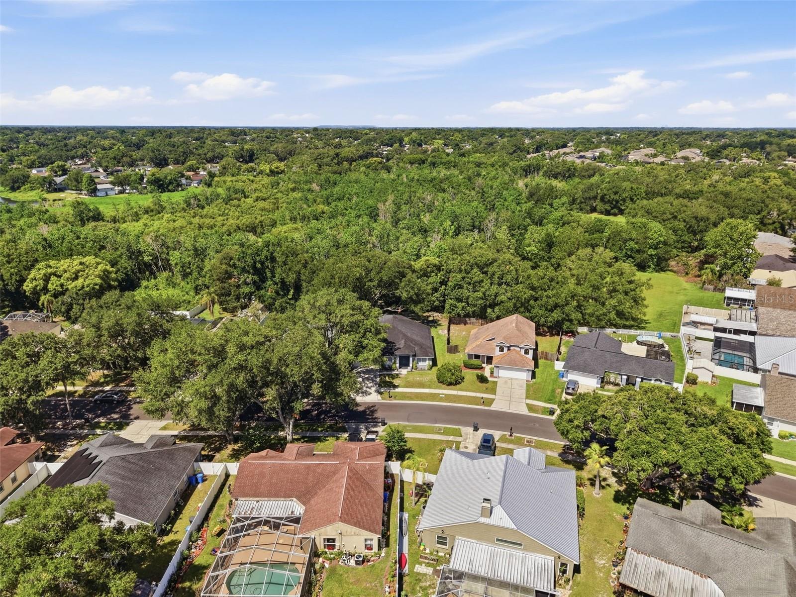 1328 Gangplank Dr Property Photo 18