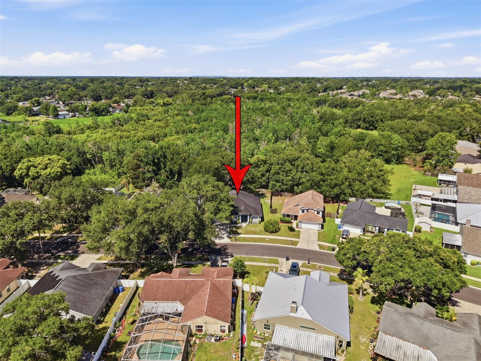 1328 Gangplank Dr Property Photo 19