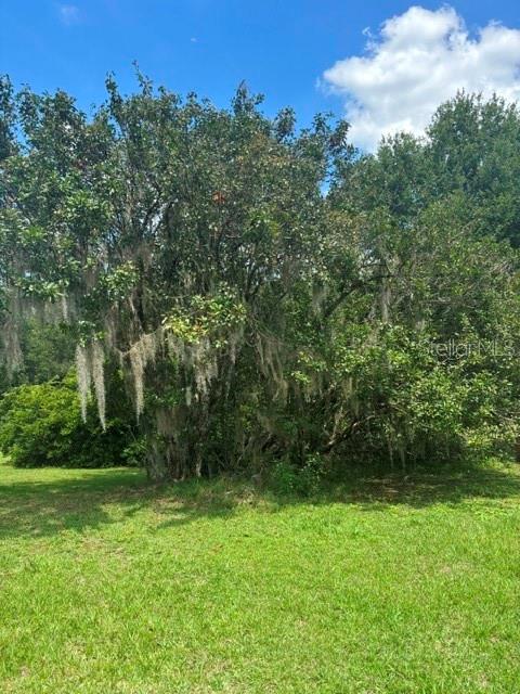 Mildred Ave Property Photo 4