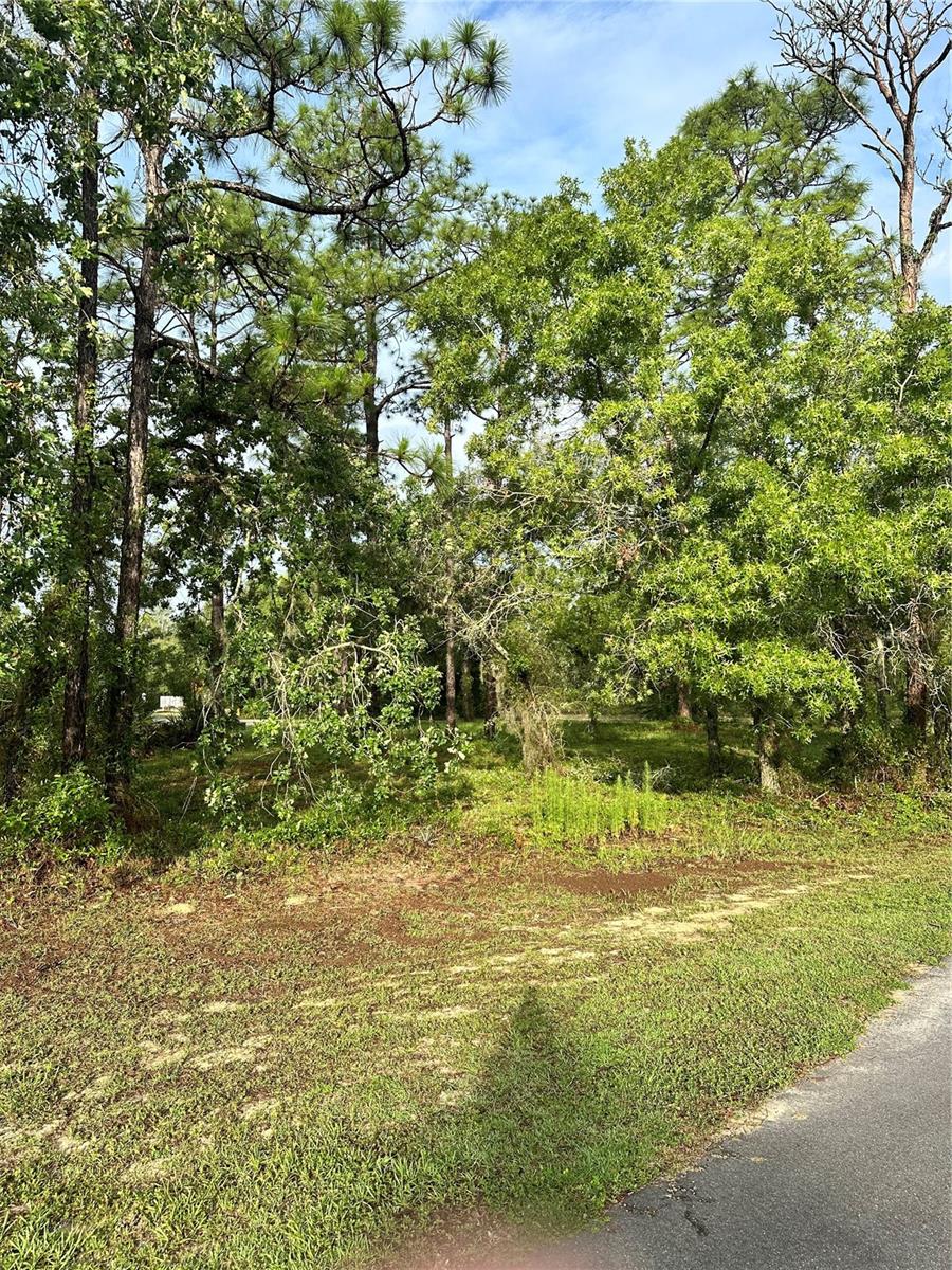 2 Barkwood Pt Property Photo 1