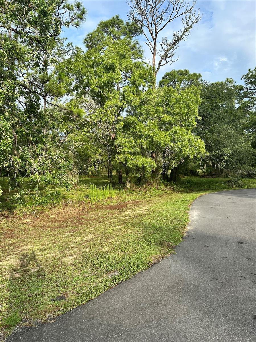 2 Barkwood Pt Property Photo 2