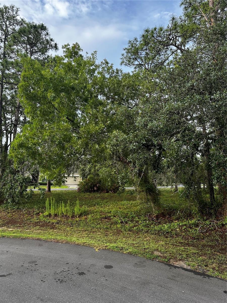 2 Barkwood Pt Property Photo 3