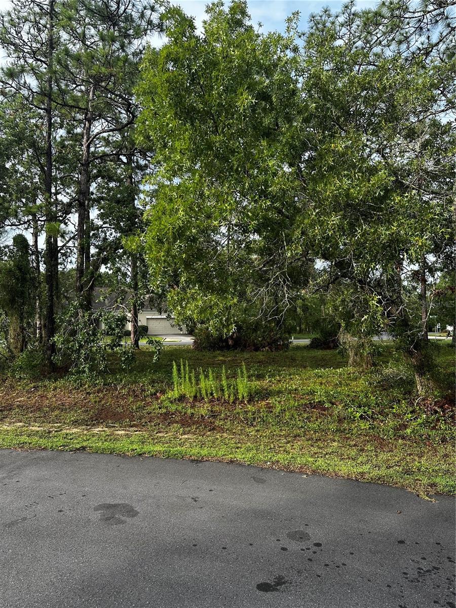 2 Barkwood Pt Property Photo 4