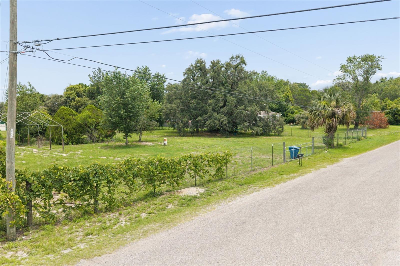 9361 Orchard Way Property Photo 12