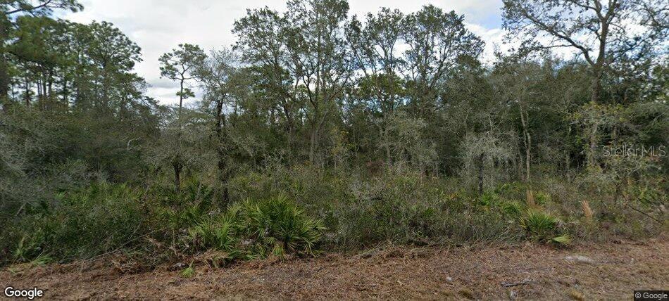 35023 PRIMROSE LN Property Photo 1
