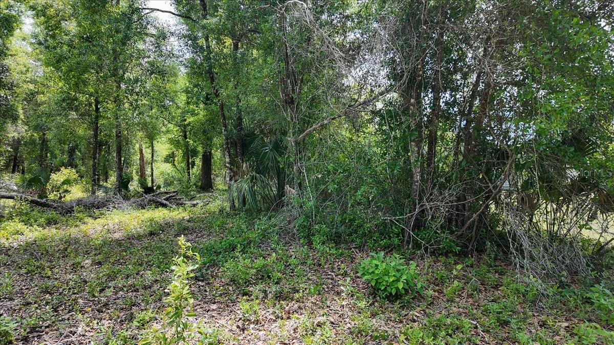 Katherine Way Property Photo 8