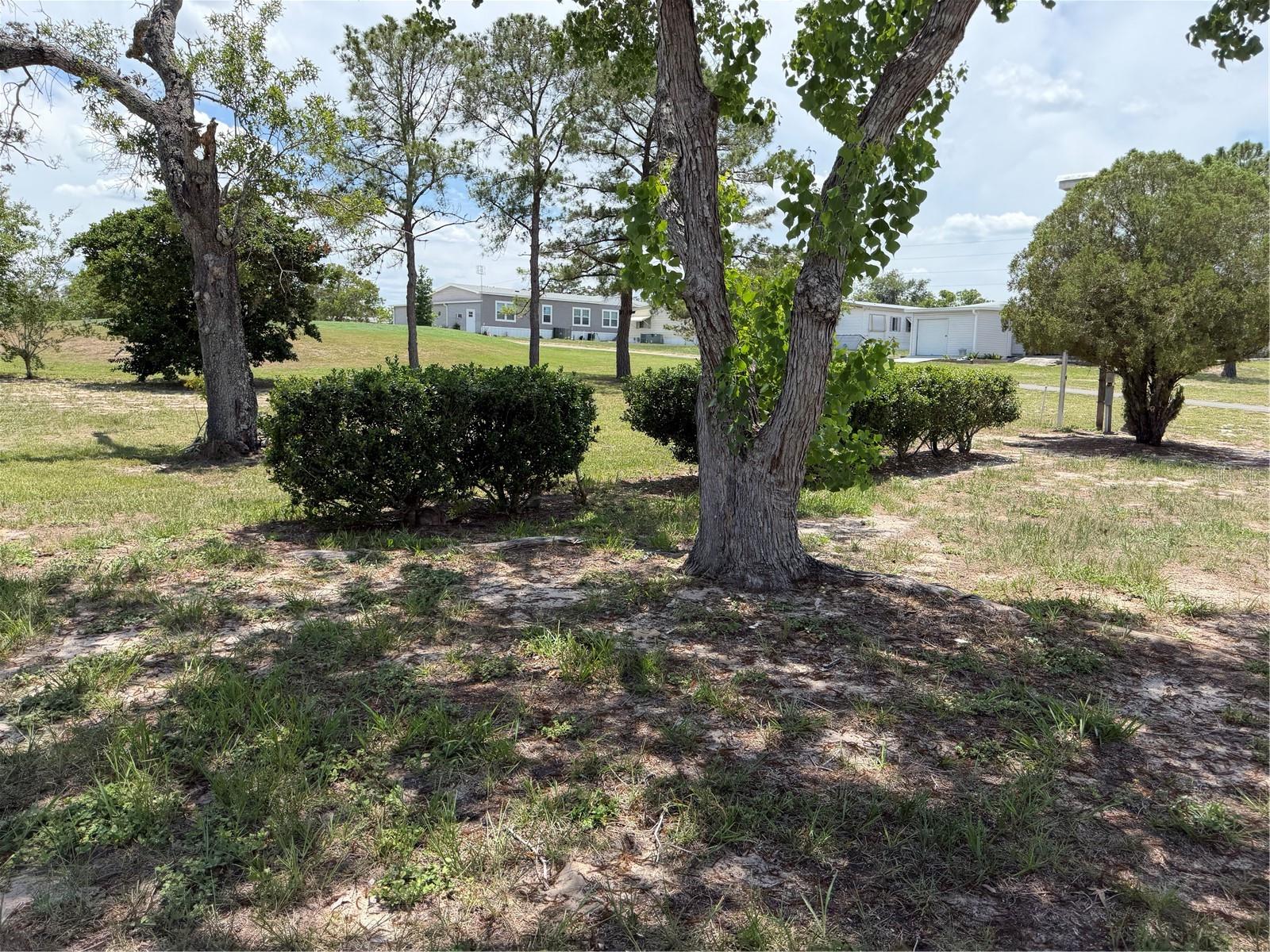 12176 Evantide Ave Property Photo 31