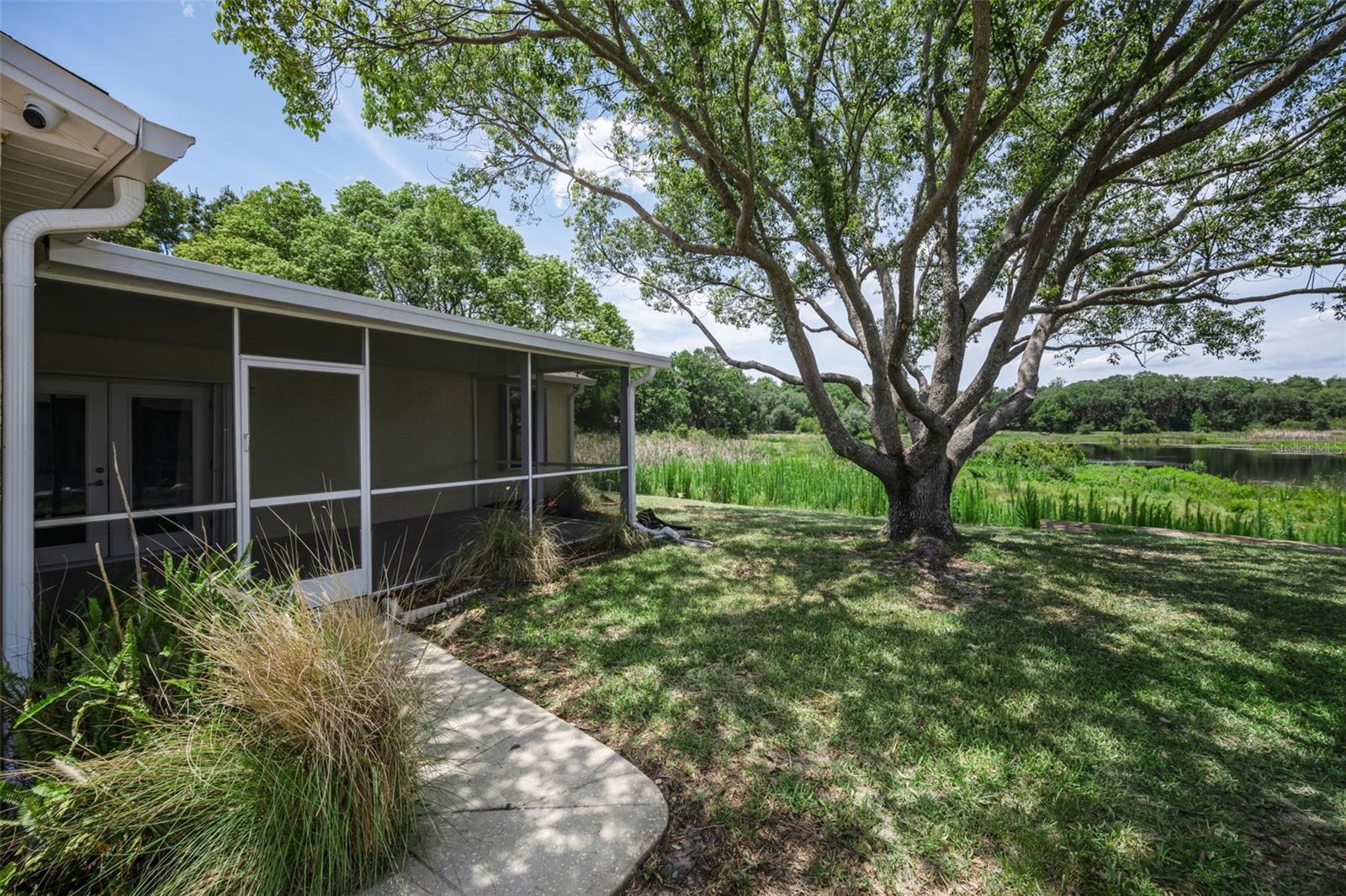 12603 Pecan Tree Dr Property Photo 6