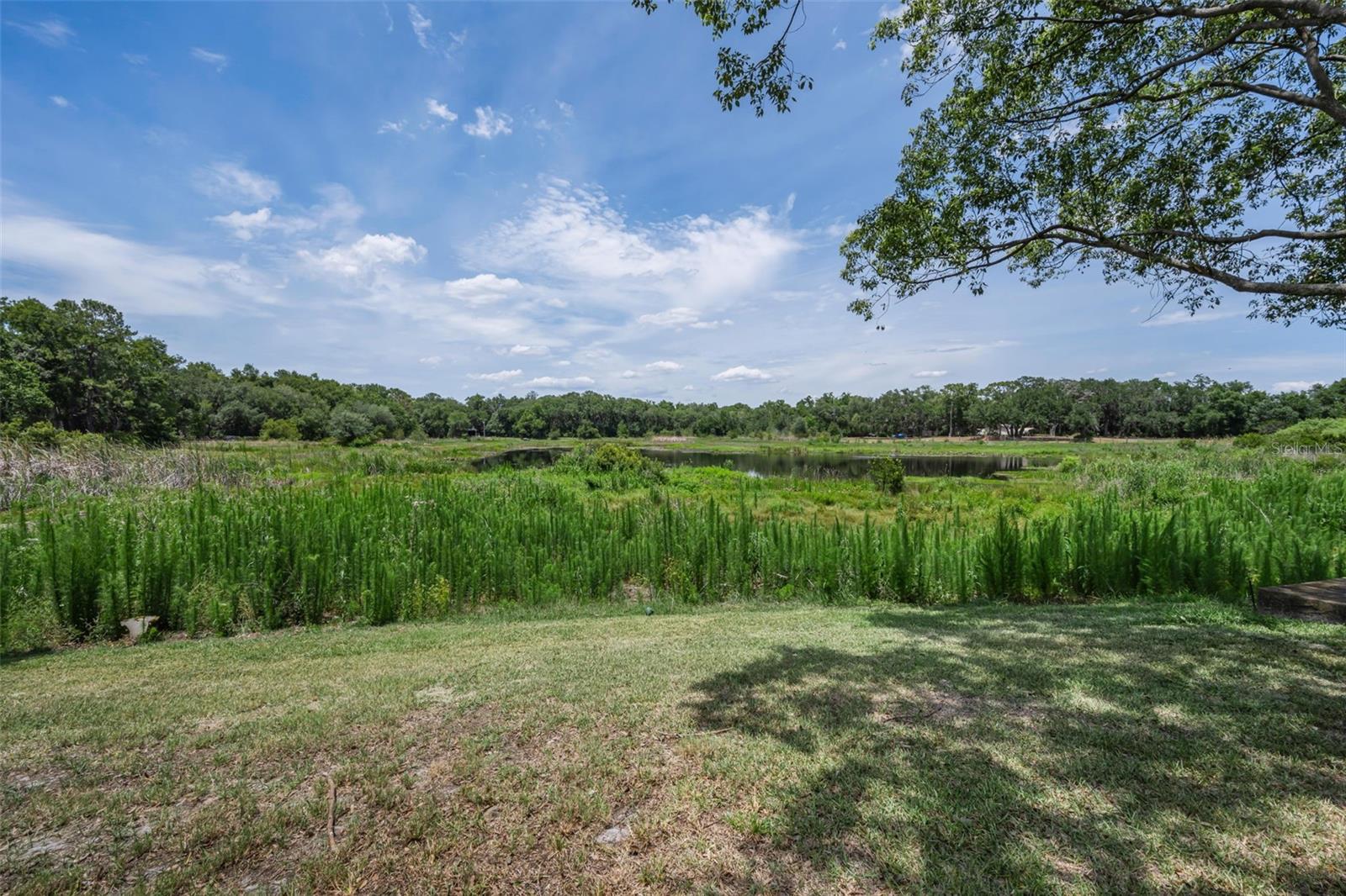 12603 Pecan Tree Dr Property Photo 7
