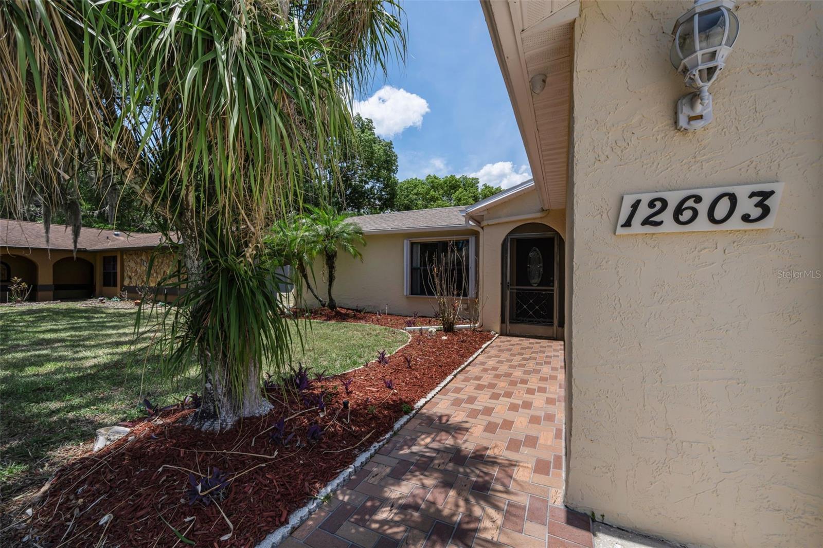 12603 Pecan Tree Dr Property Photo 17