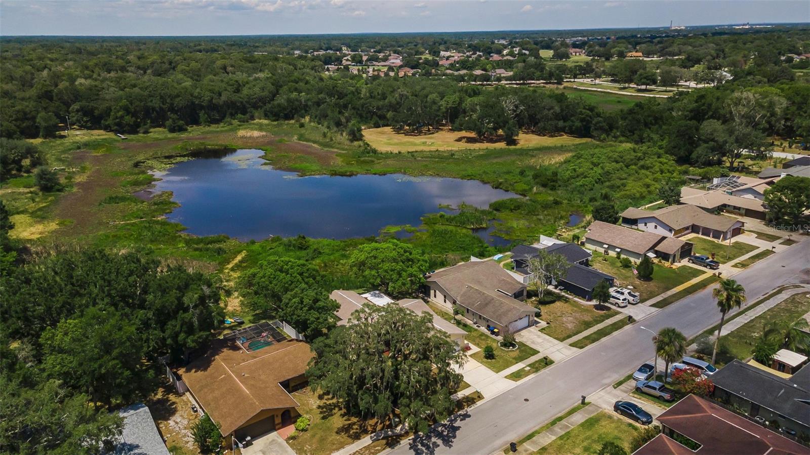12603 Pecan Tree Dr Property Photo 44