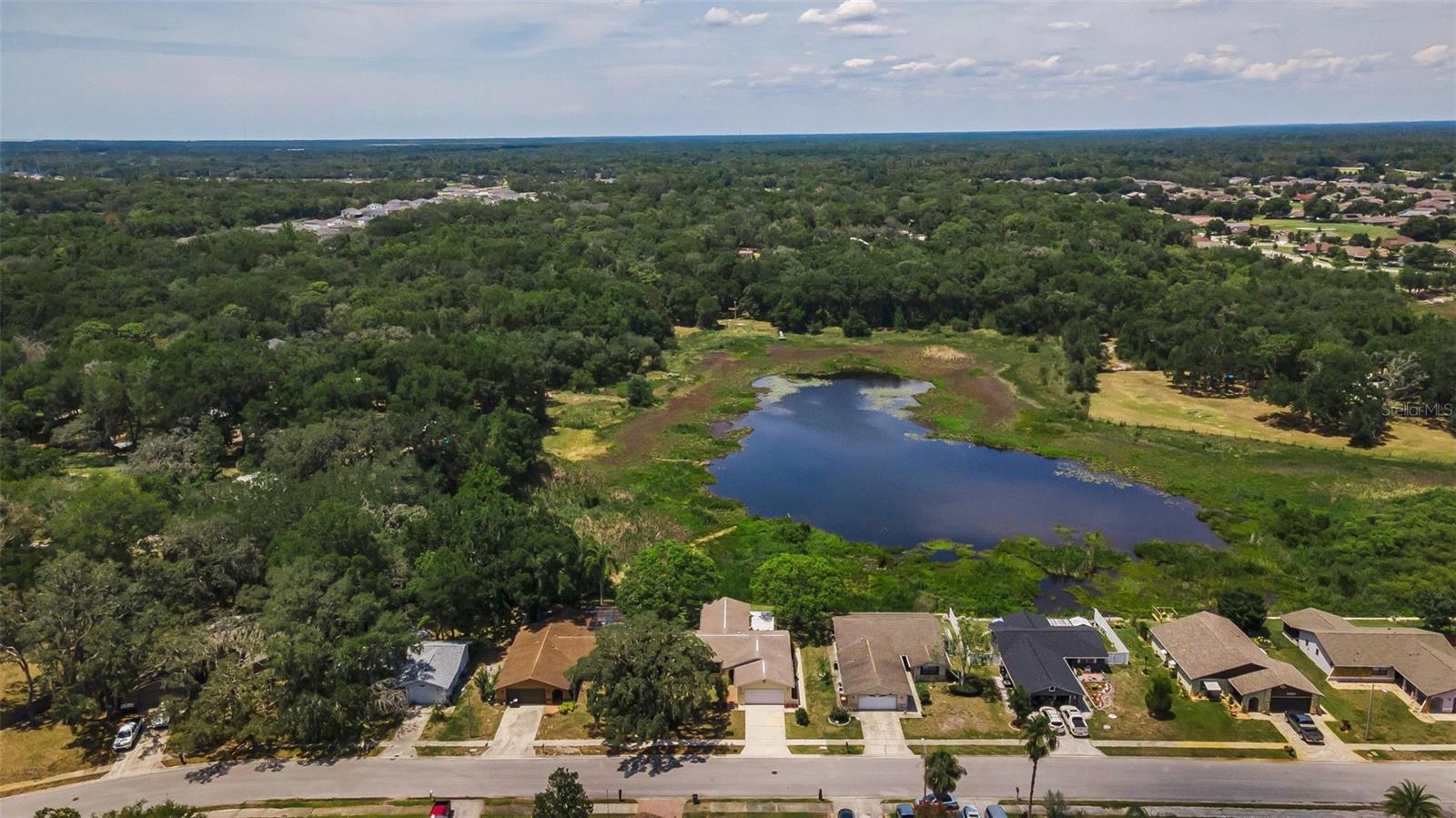 12603 Pecan Tree Dr Property Photo 46