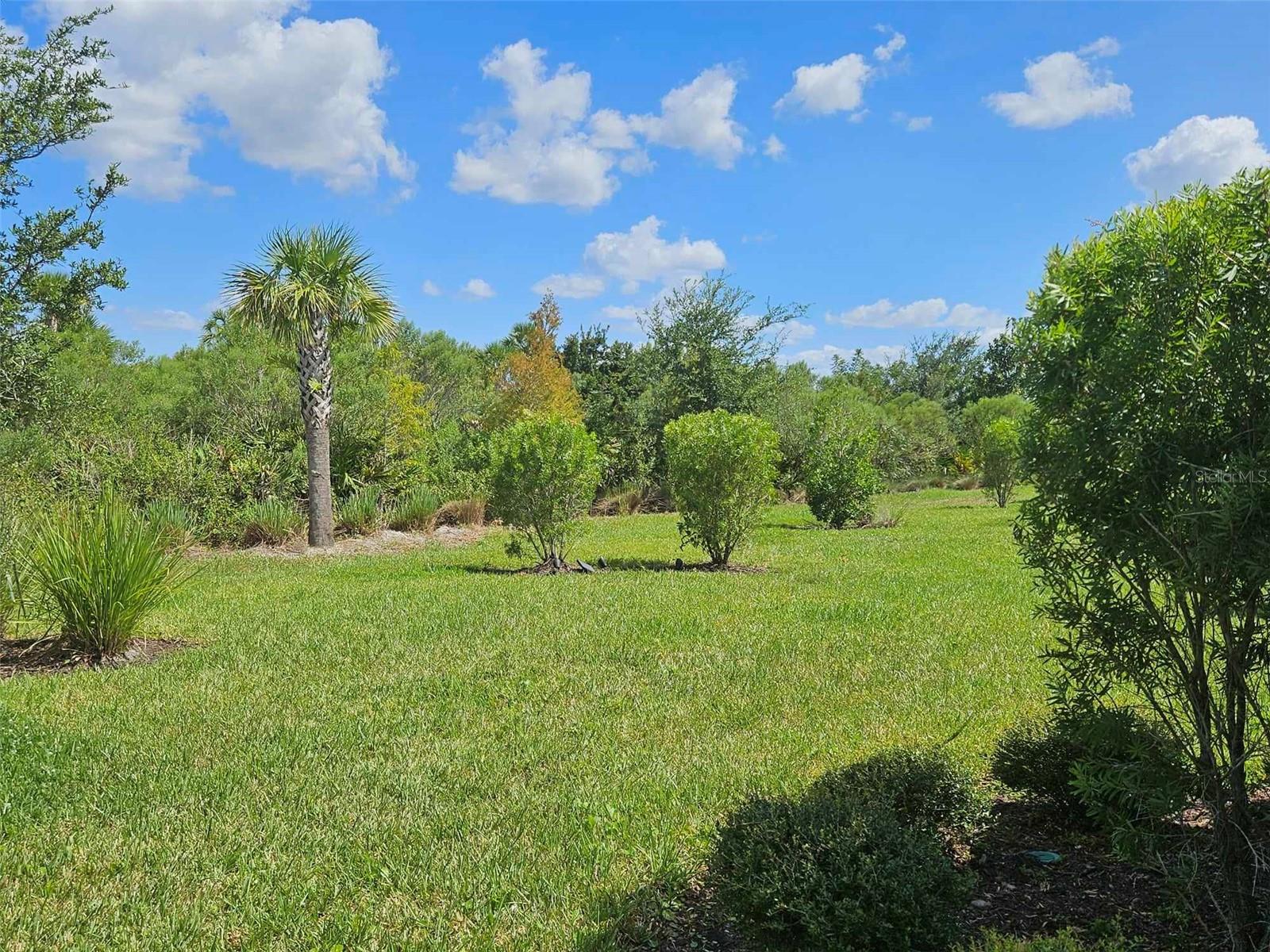 3270 Francoa Dr Property Photo 28