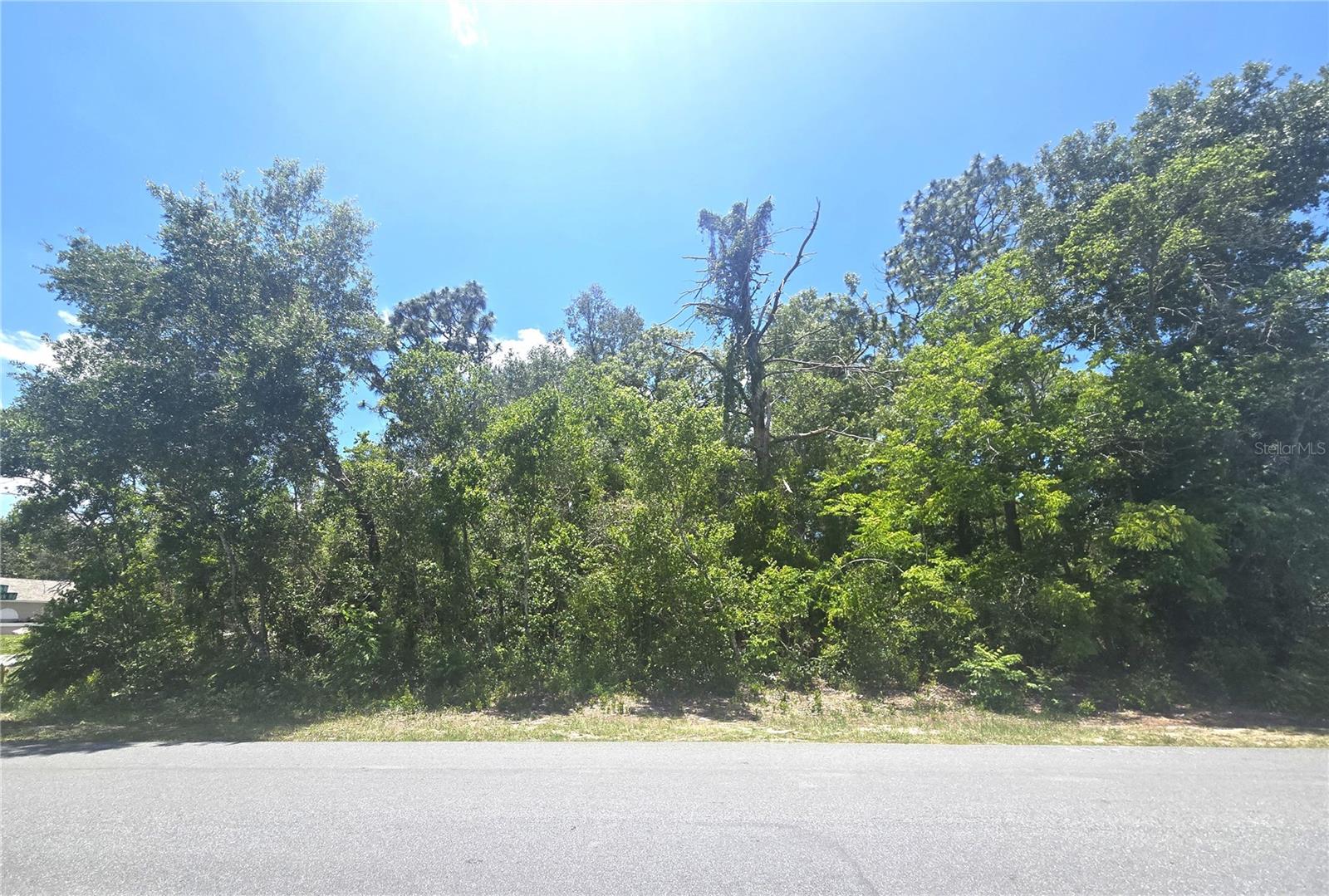 Dunkirk Rd Property Photo 3