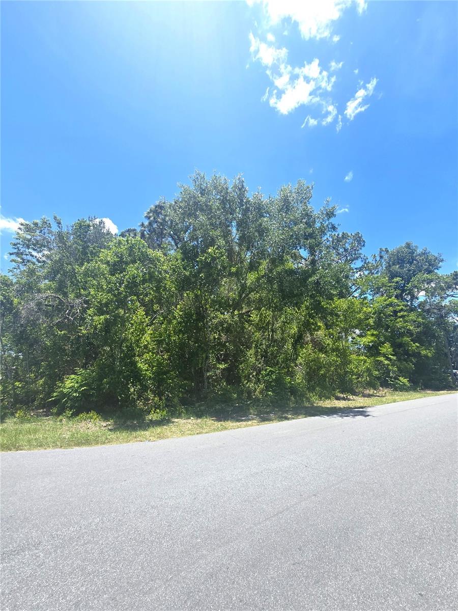 Dunkirk Rd Property Photo 8