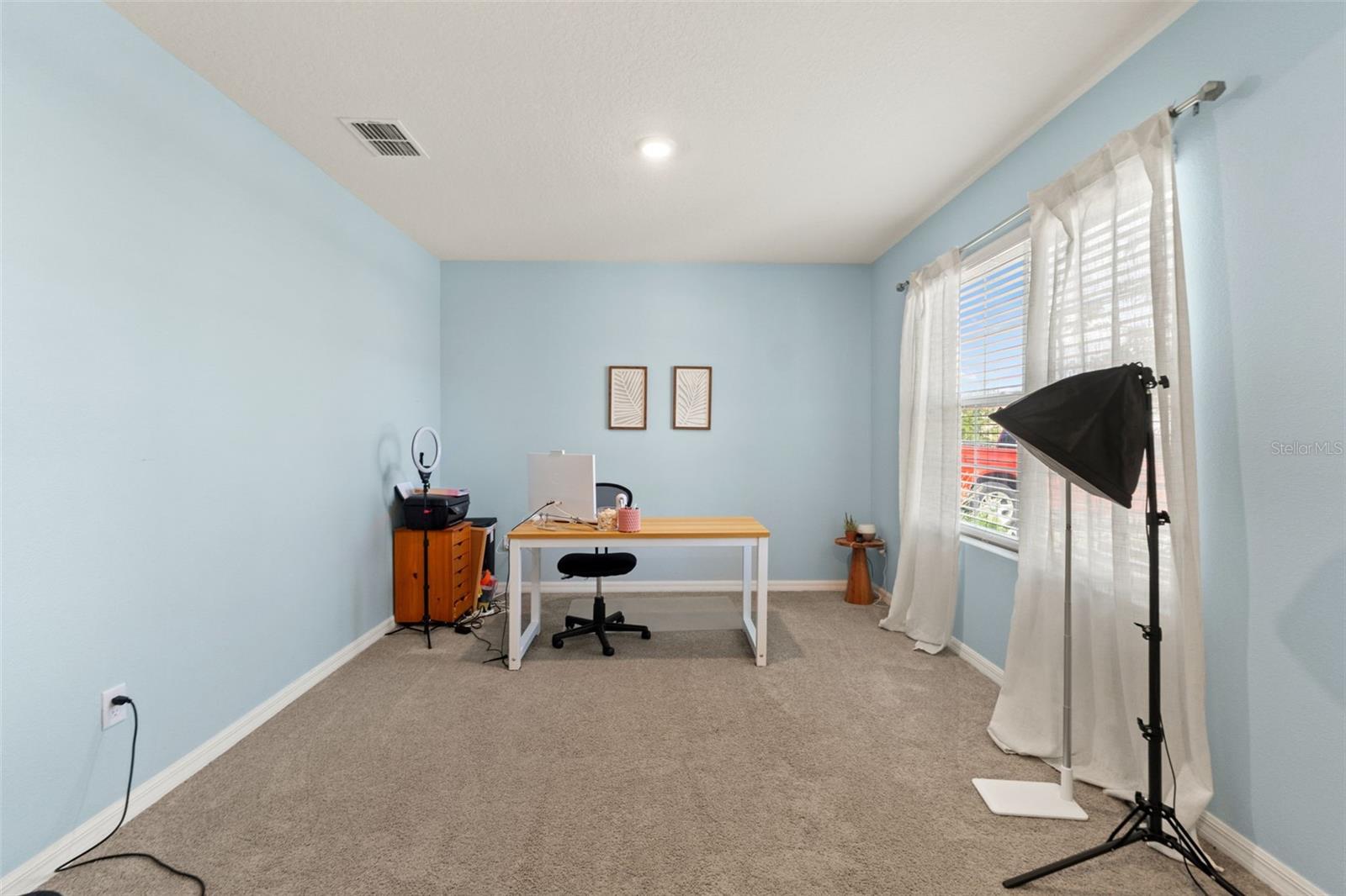 33567 Hamilton Hill Ln Property Photo 10