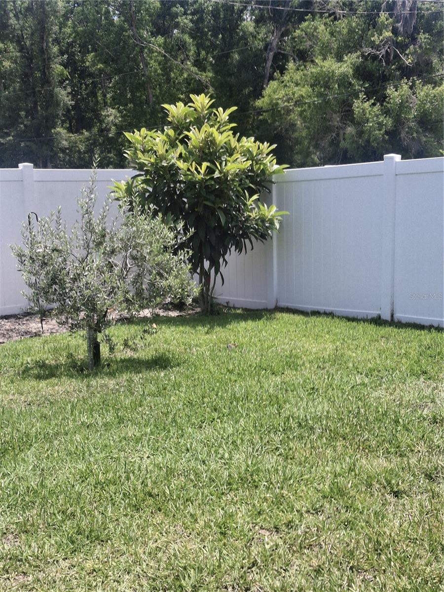 12618 Vander Way Property Photo 20