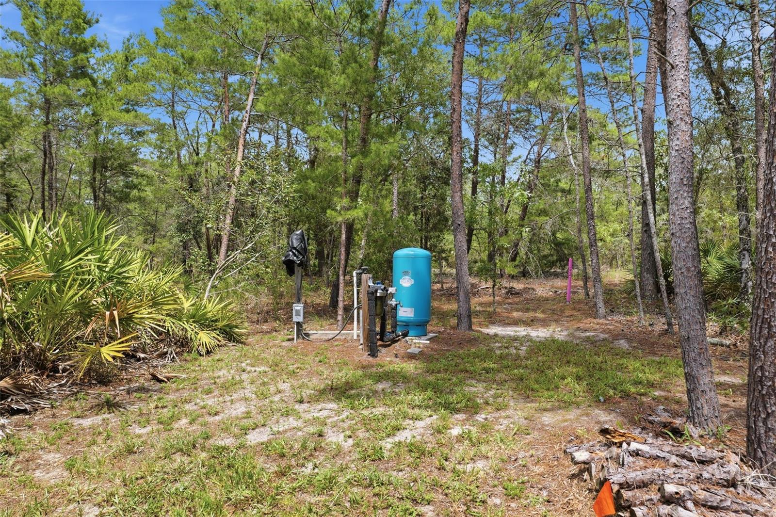 18296 Maberly Rd Property Photo 45