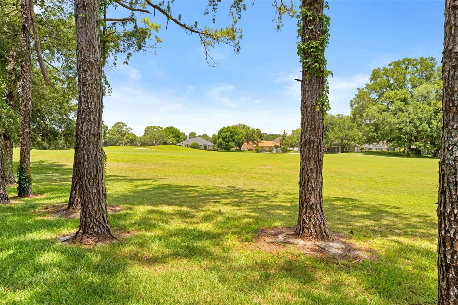 14425 Sterling Run Property Photo 62