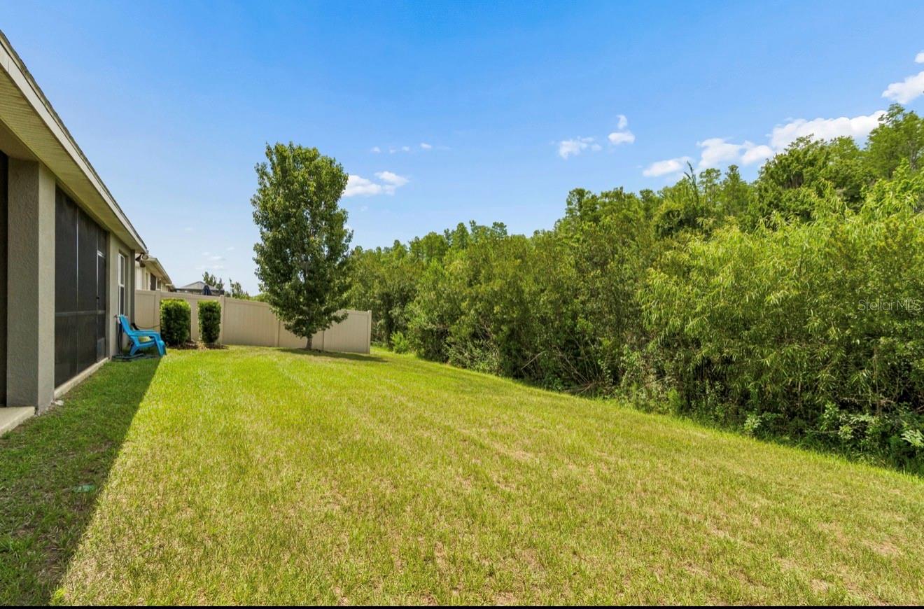 18307 Turning Leaf Cir Property Photo 23