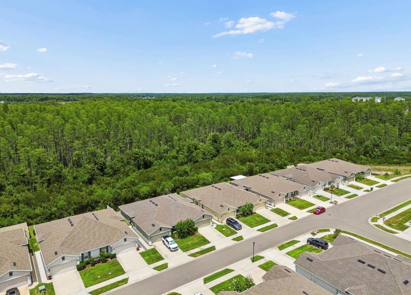 18307 Turning Leaf Cir Property Photo 26