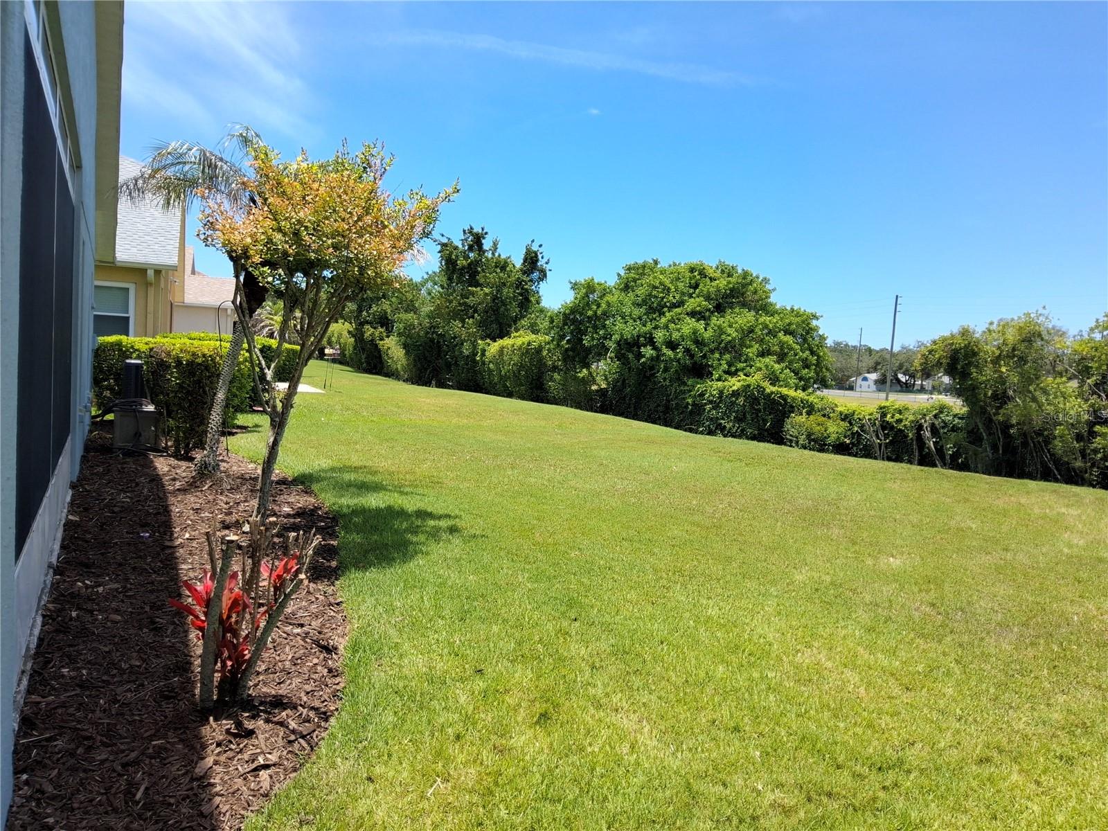 11731 Heritage Point Dr Property Photo 4