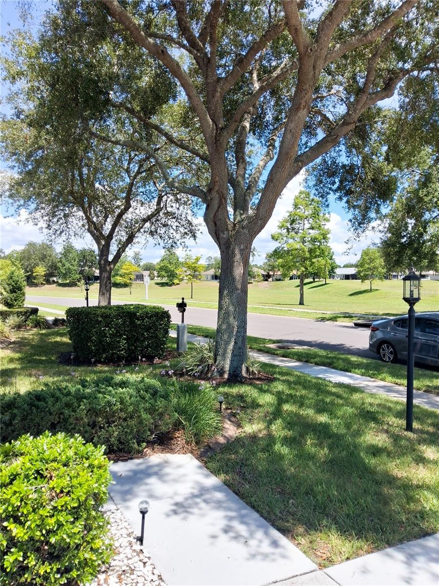 11731 Heritage Point Dr Property Photo 27