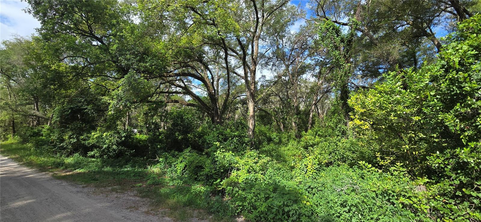 15621 Daybreeze Dr Property Photo 3