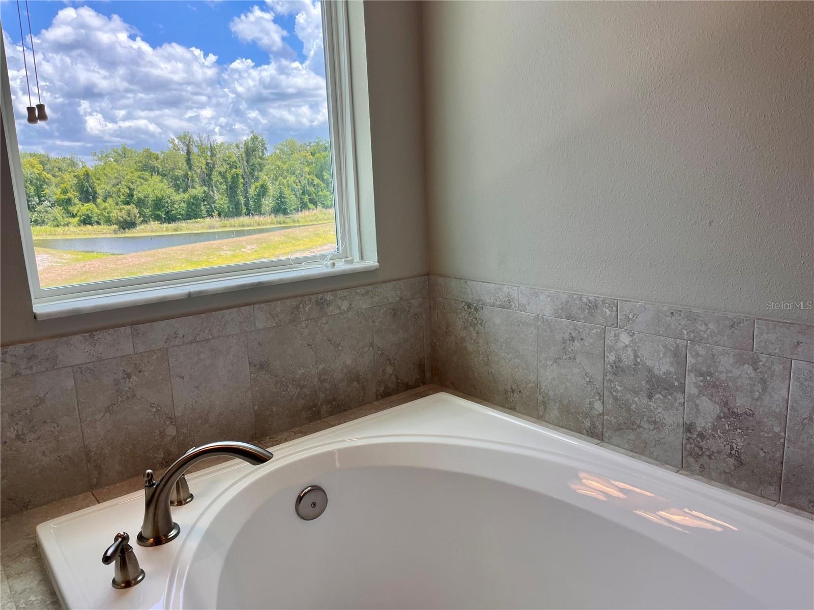 12093 Nouveau Ave Property Photo 44
