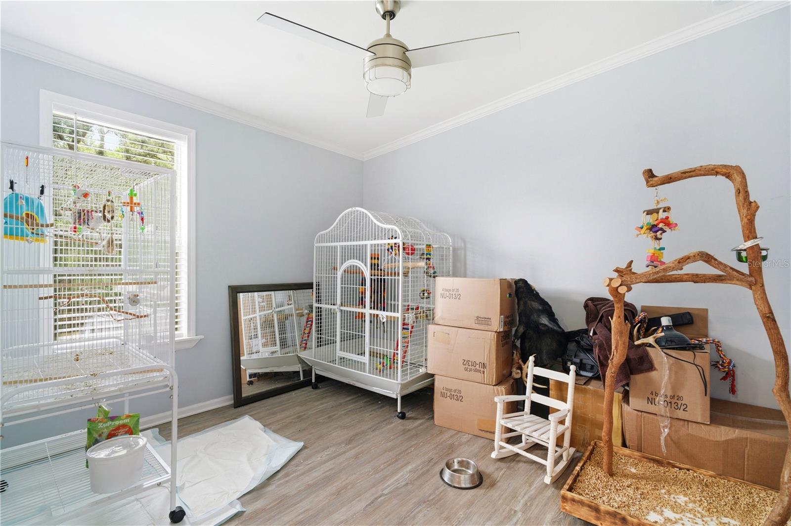 6111 Cartwrite Rd Property Photo 28