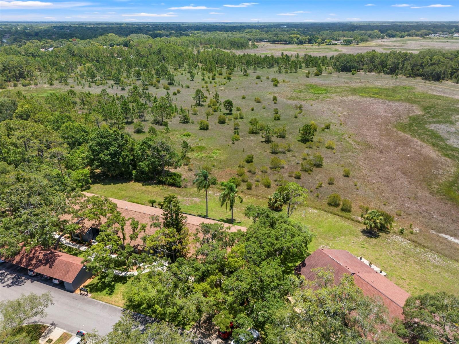 6410 Nature Preserve Ln Property Photo 45