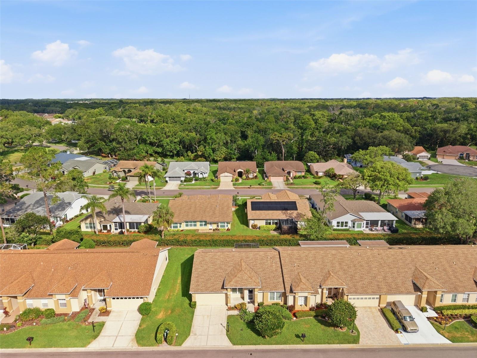 6525 Pine Walk Dr Property Photo 32