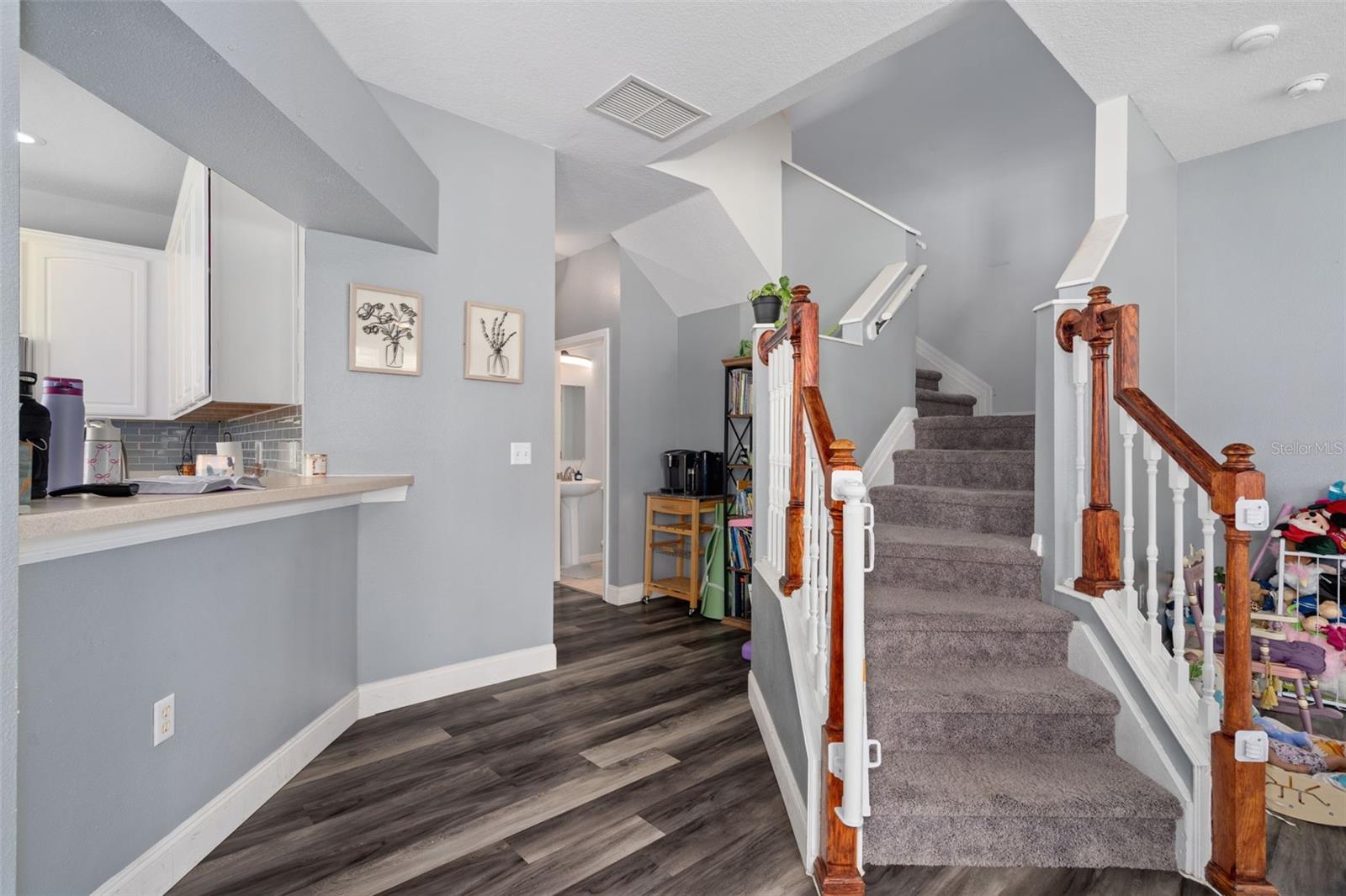 27642 Pleasure Ride Loop Property Photo 13