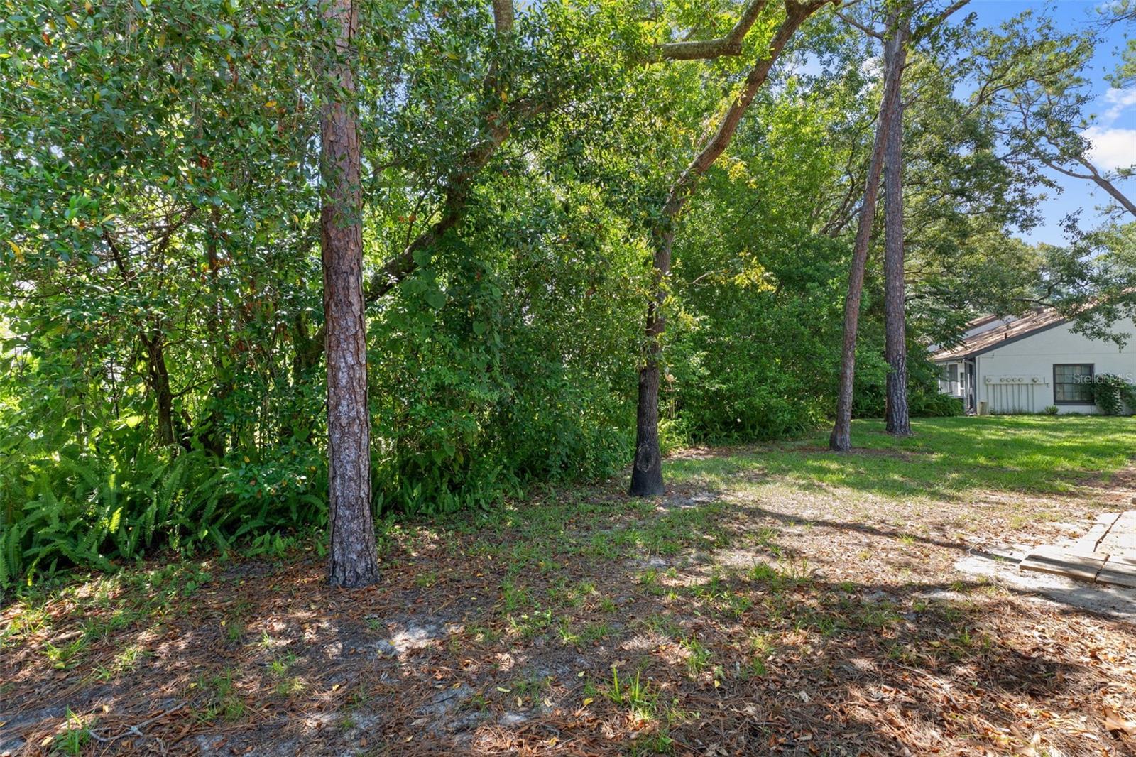 2102 Forester Way Property Photo 42