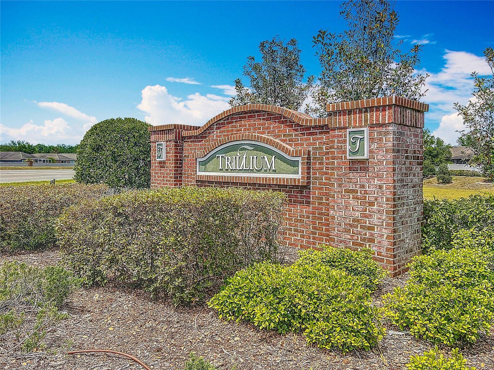 1072 Hill Flower Dr Property Photo 27
