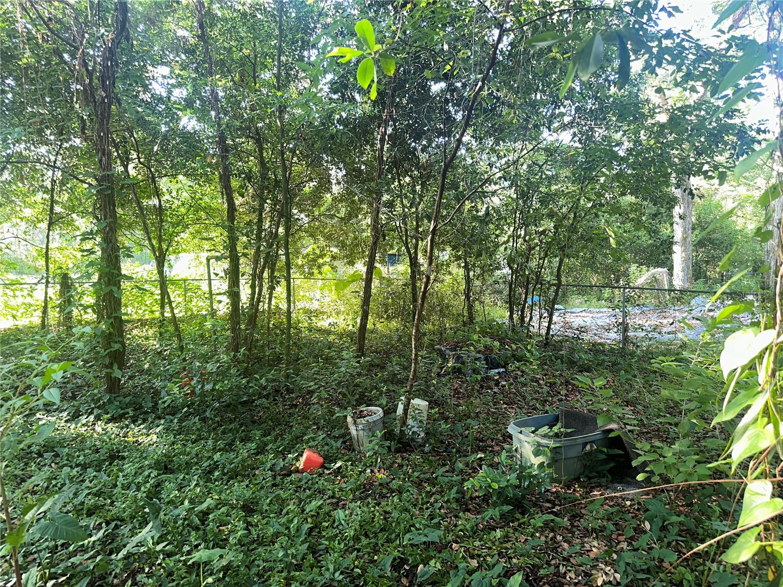 1128 N Jackson Ave S Property Photo 8