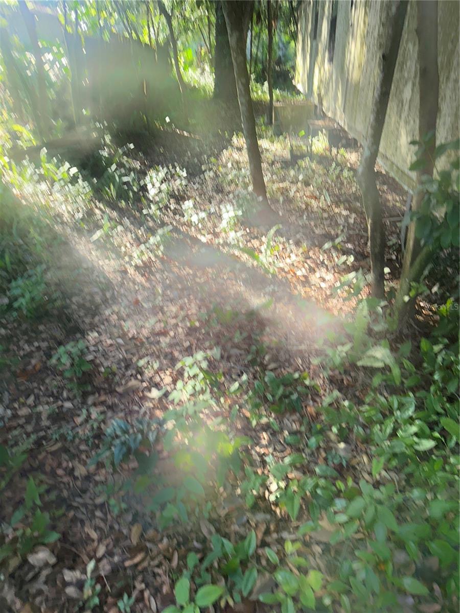1128 N Jackson Ave S Property Photo 9