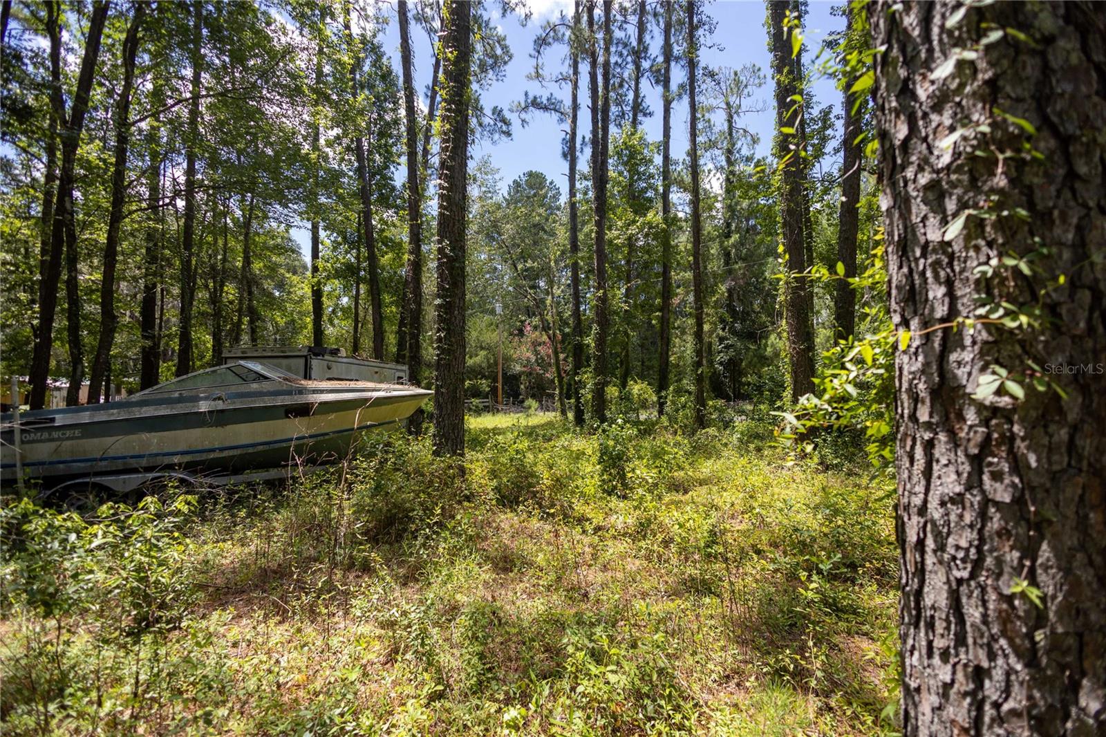 18864 N Highway 329 Property Photo 14