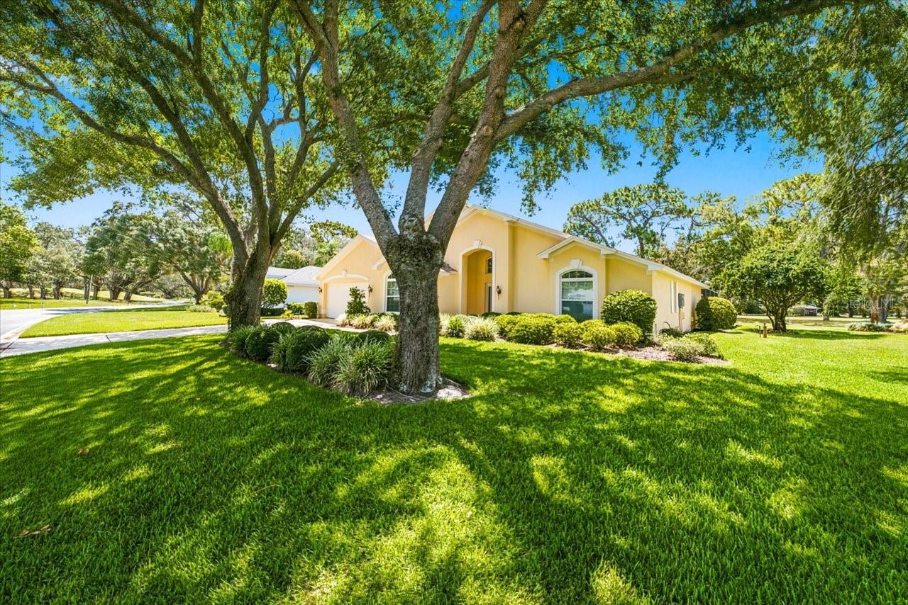 9720 Southern Belle Dr Property Photo 13