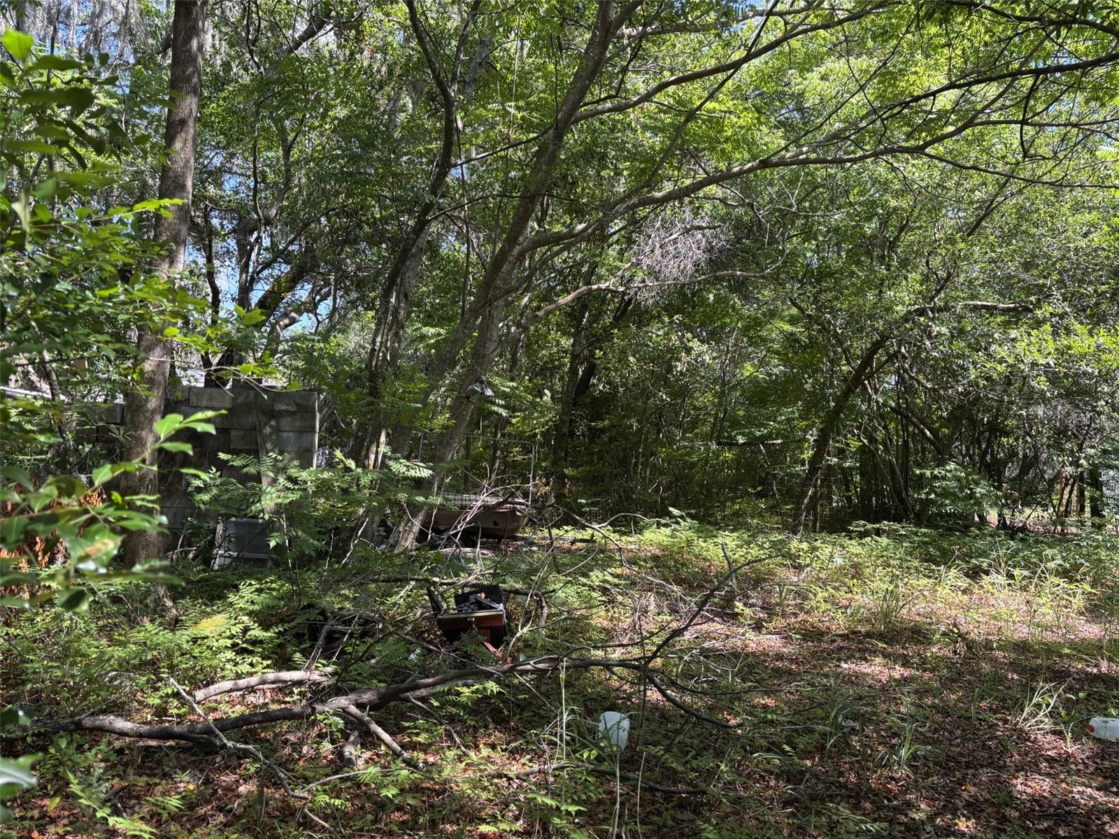 12506 Walton Ave Property Photo 4